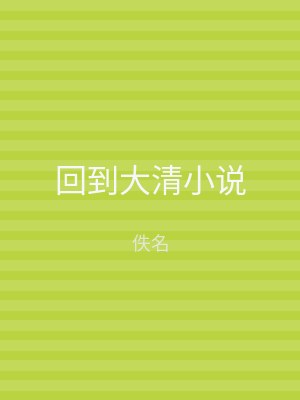 回到大清小说