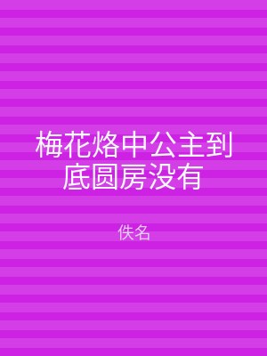 梅花烙中公主到底圆房没有