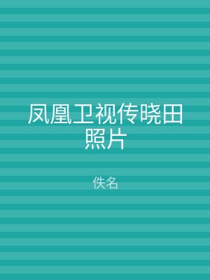 凤凰卫视传晓田照片