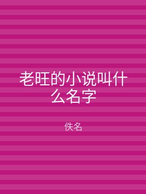老旺的小说叫什么名字
