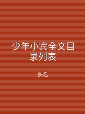 少年小宾全文目录列表