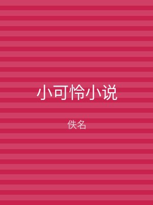 小可怜小说