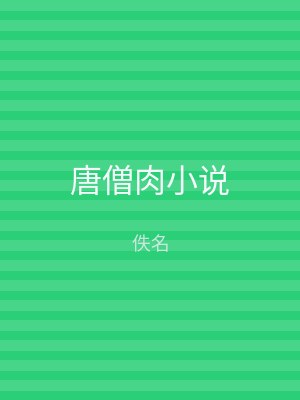 唐僧肉小说