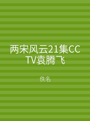 两宋风云21集CCTV袁腾飞