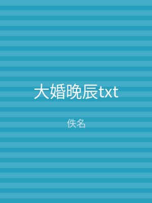 大婚晚辰txt
