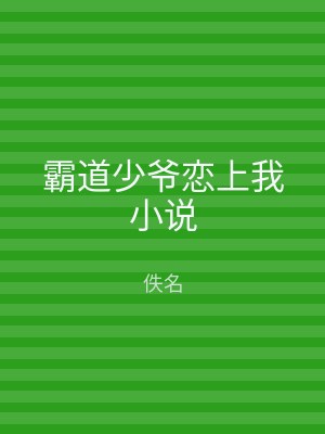霸道少爷恋上我小说