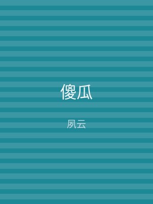 傻瓜