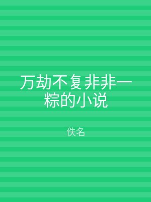 万劫不复非非一粽的小说
