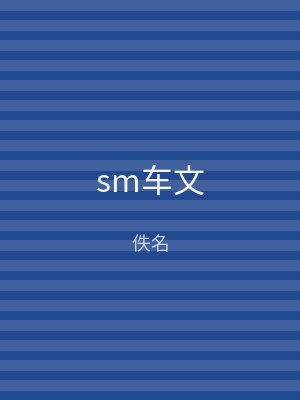 sm车文