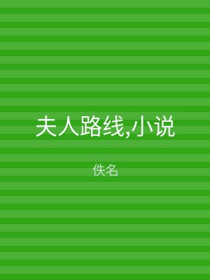 夫人路线,小说