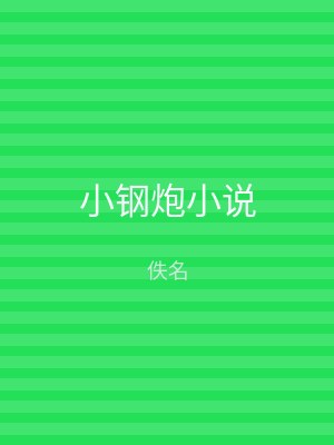 小钢炮小说
