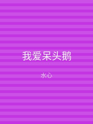 我爱呆头鹅
