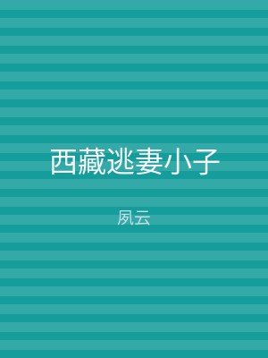 西藏逃妻小子