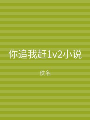 你追我赶1v2小说