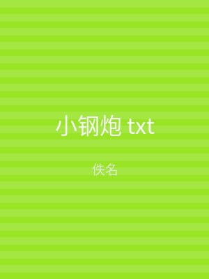 小钢炮 txt