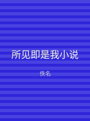 所见即是我小说