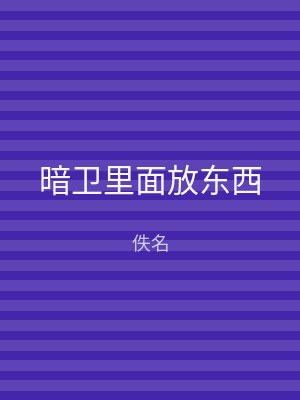暗卫里面放东西