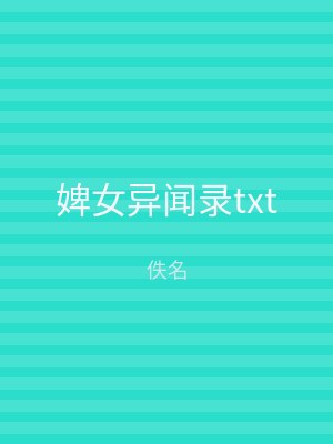 婢女异闻录txt