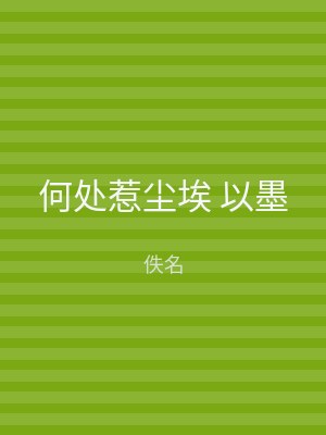 何处惹尘埃 以墨