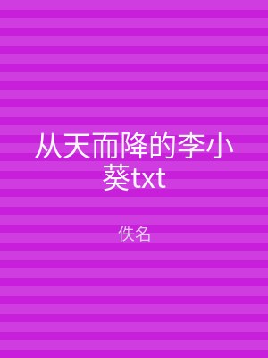 从天而降的李小葵txt