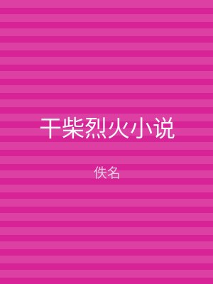 干柴烈火小说
