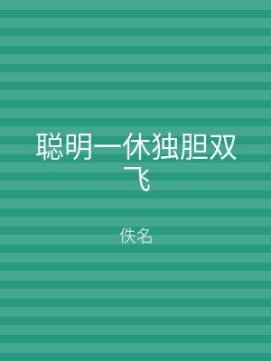 聪明一休独胆双飞