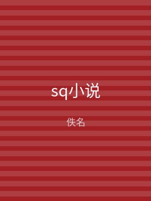 sq小说