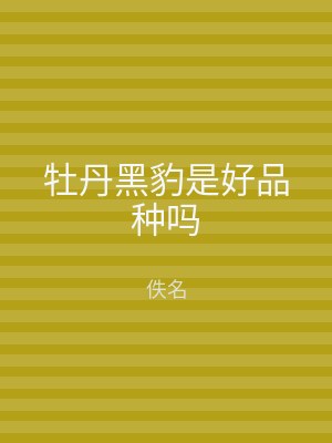 牡丹黑豹是好品种吗