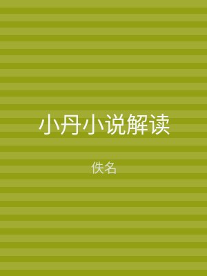小丹小说解读