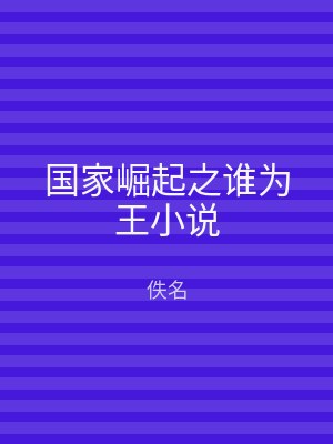 国家崛起之谁为王小说