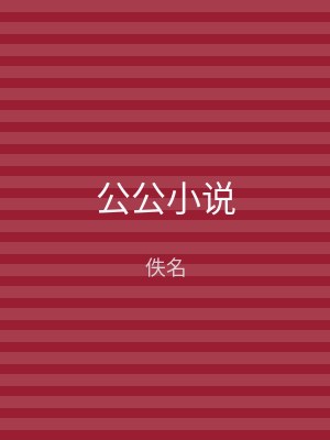 公公小说