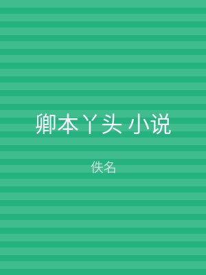 卿本丫头 小说