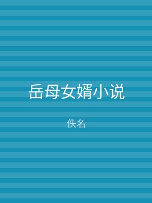 岳母女婿小说