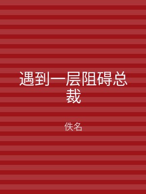 遇到一层阻碍总裁