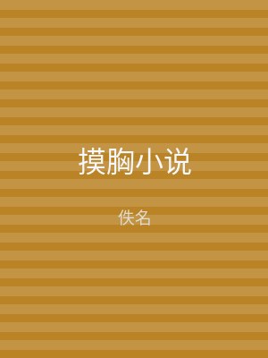 摸胸小说