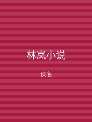 林岚小说