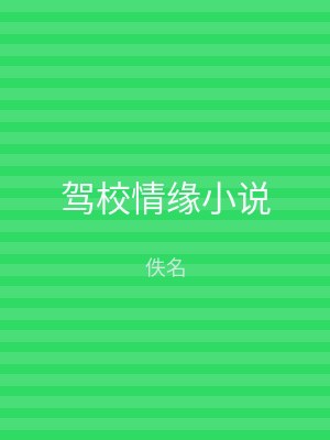 驾校情缘小说