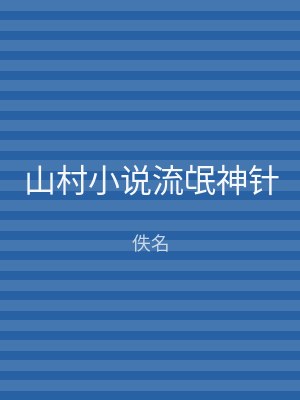 山村小说流氓神针