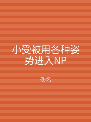 小受被用各种姿势进入NP
