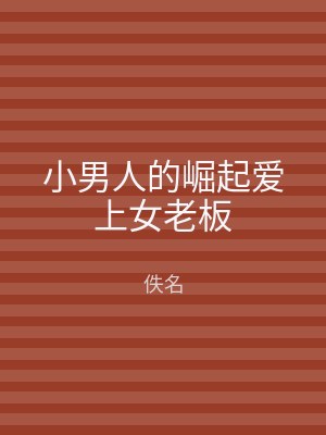小男人的崛起爱上女老板