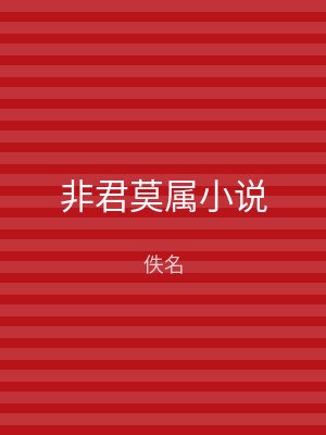非君莫属小说