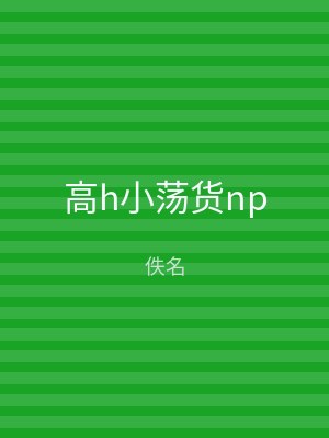 高h小荡货np