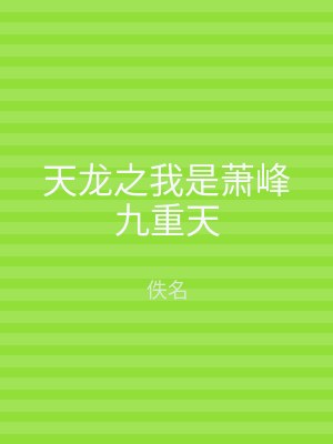 天龙之我是萧峰九重天