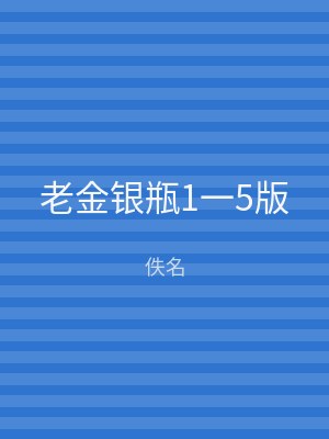 老金银瓶1一5版