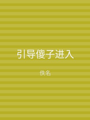 引导傻子进入