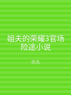 姐夫的荣耀3官场险途小说