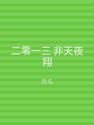 二零一三 非天夜翔