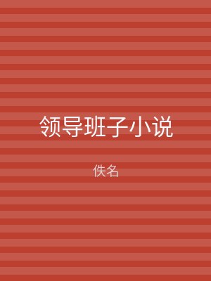 领导班子小说