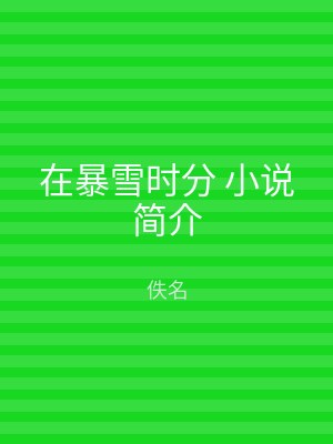 在暴雪时分 小说简介