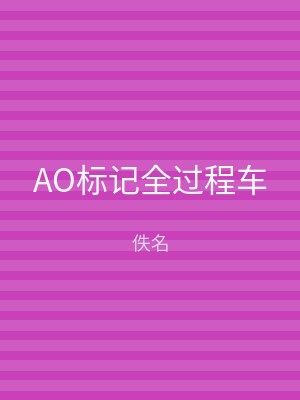 AO标记全过程车